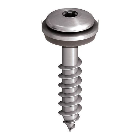 Ejot 850349 Fasadskruv lågprofil, A2 4,9 x 38 mm, 250-pack Med bricka