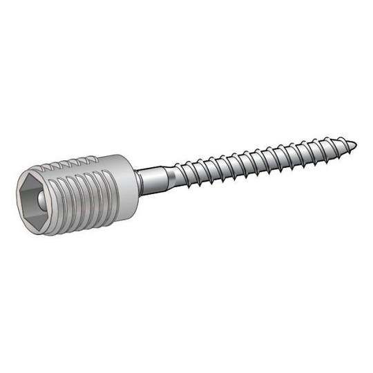 ESSVE ProgramaTB Karmskruv 6-pack, 70mm