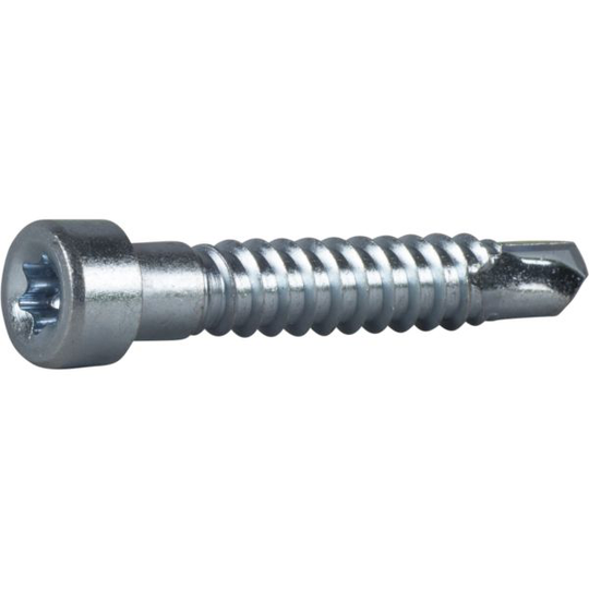 ESSVE Indu-Prog Borrskruv 7 x 45 mm, TX30, FZB 100-pack